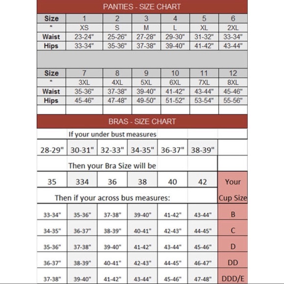 Damson Lingerie Two Tone Floral Lace Push Up Bra - Picture 5 of 5